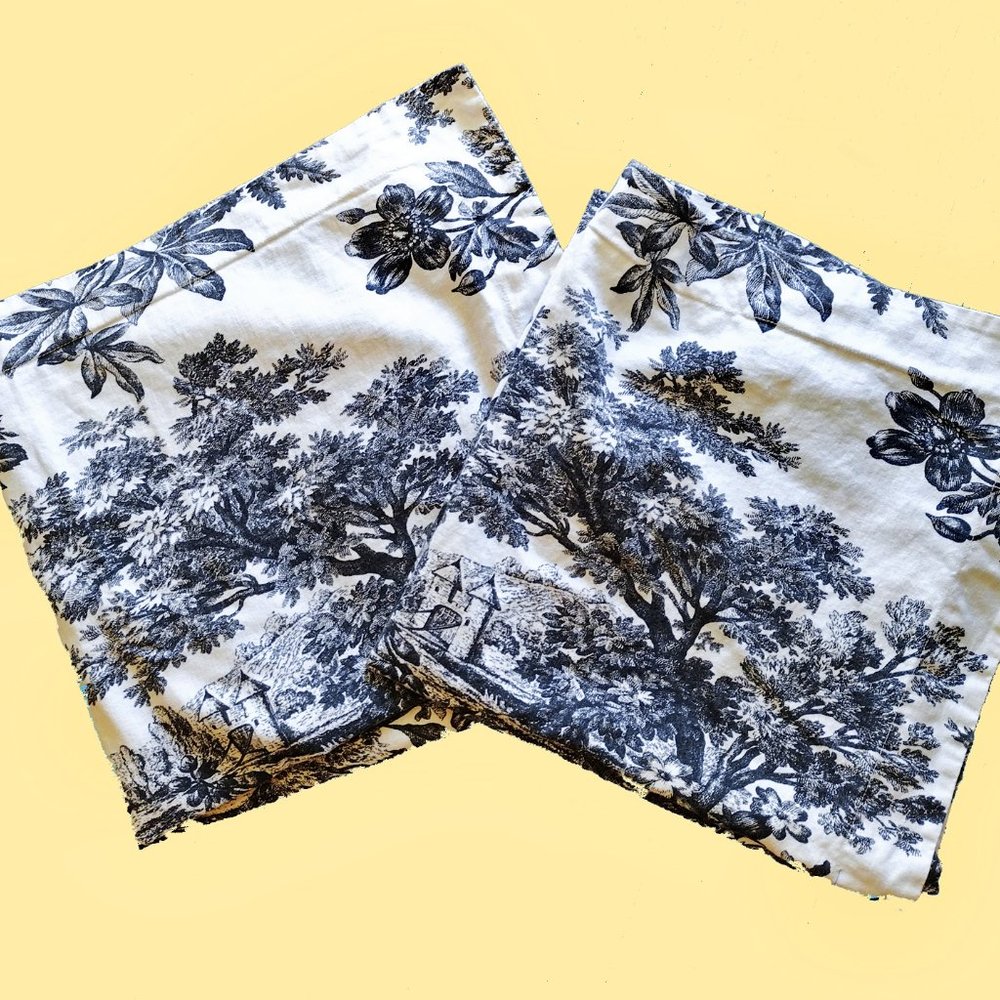 Pair Pottery Barn Matine Toile Euro Pillow Sham Set Black and White Pillow Shams